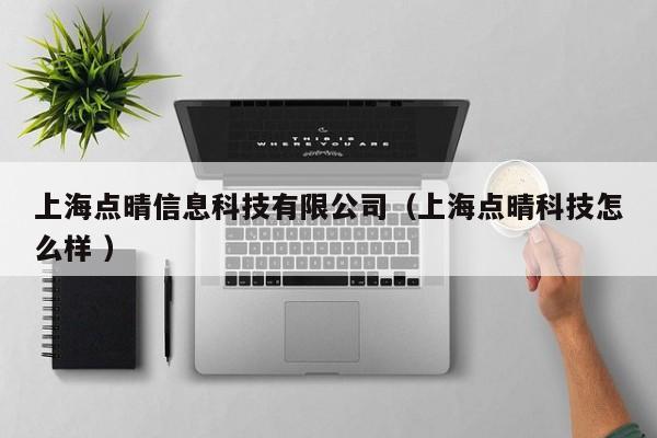 上海點(diǎn)晴信息科技有限公司（上海點(diǎn)晴科技怎么樣 ）